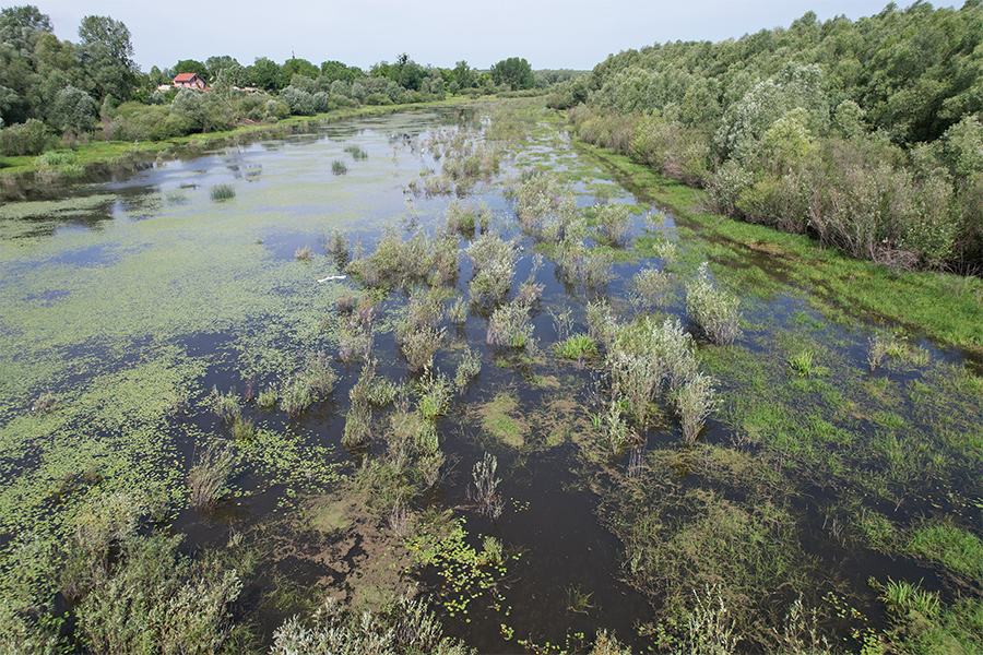 Bijelo Brdo hosted the 1st Community Evening: A collaborative approach to restoration.