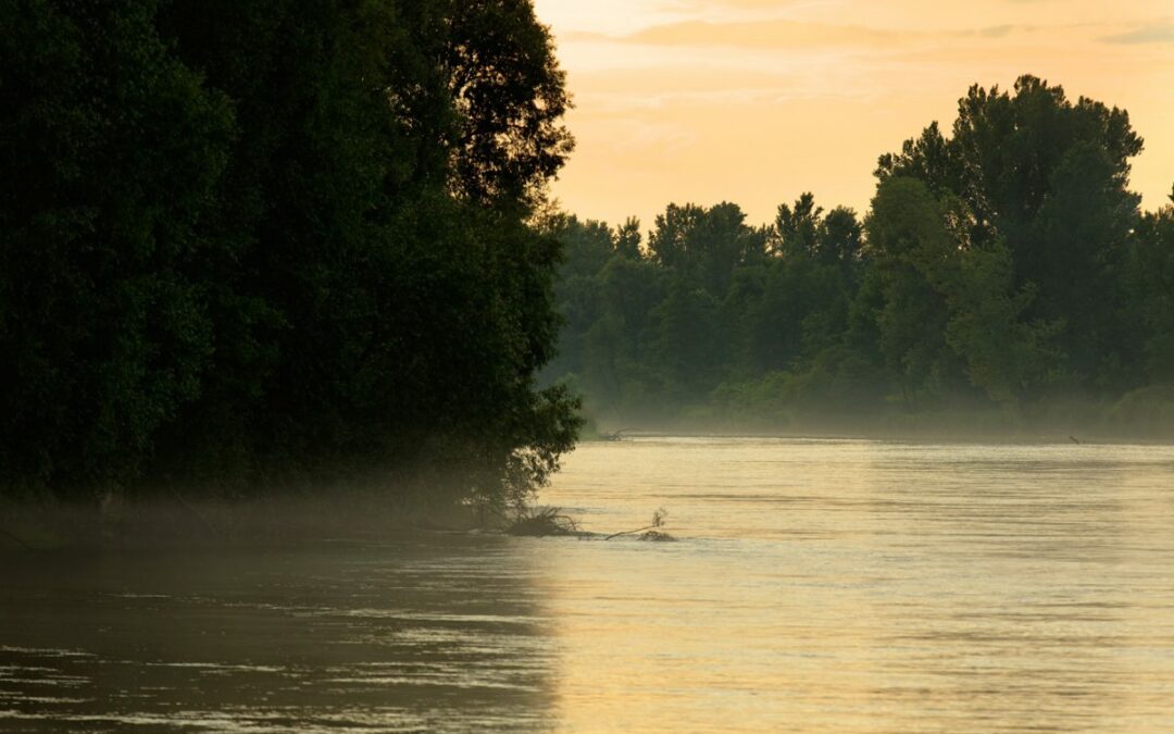 Slovenian Minister of the Environment Moves to Cancel the Eight Planned Hydroelectric Power Plants along the Mura River