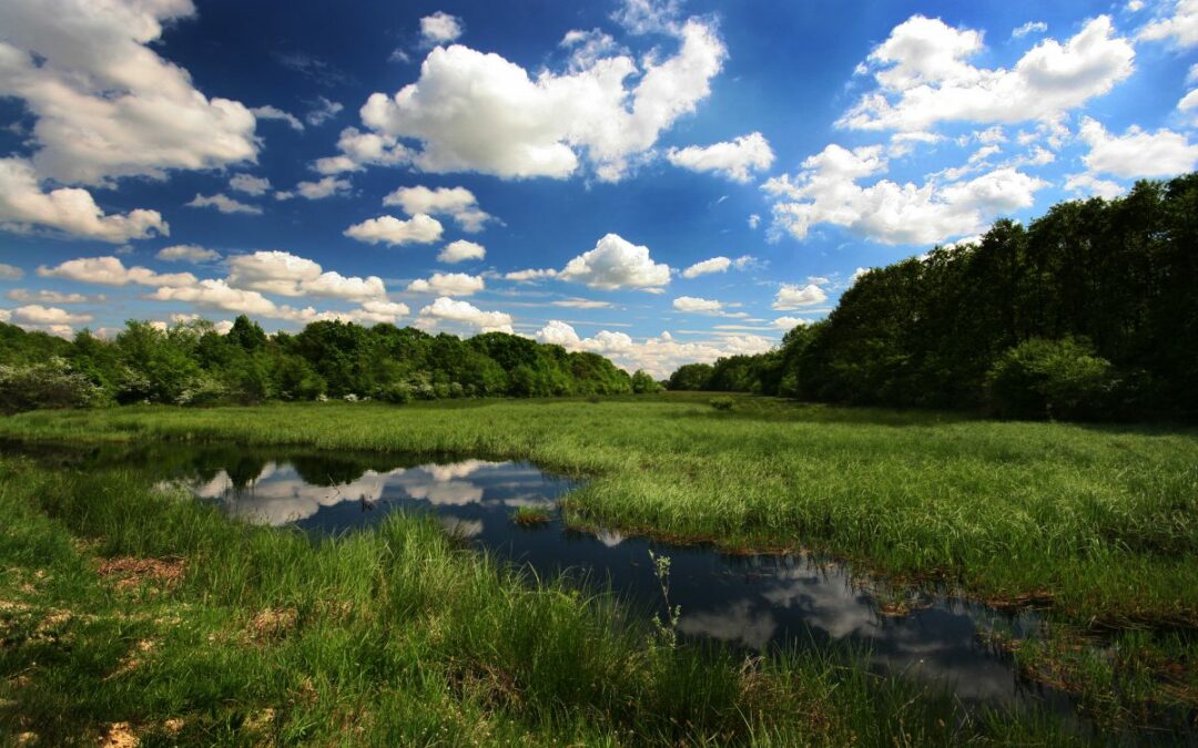 Bačko Podunavlje is the new UNESCO Biosphere Reserve in Serbia