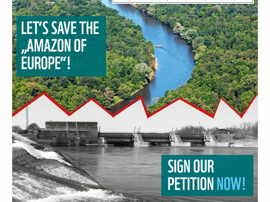 WWF and NGO-Alliance: Save the Mura – Stop the dams!