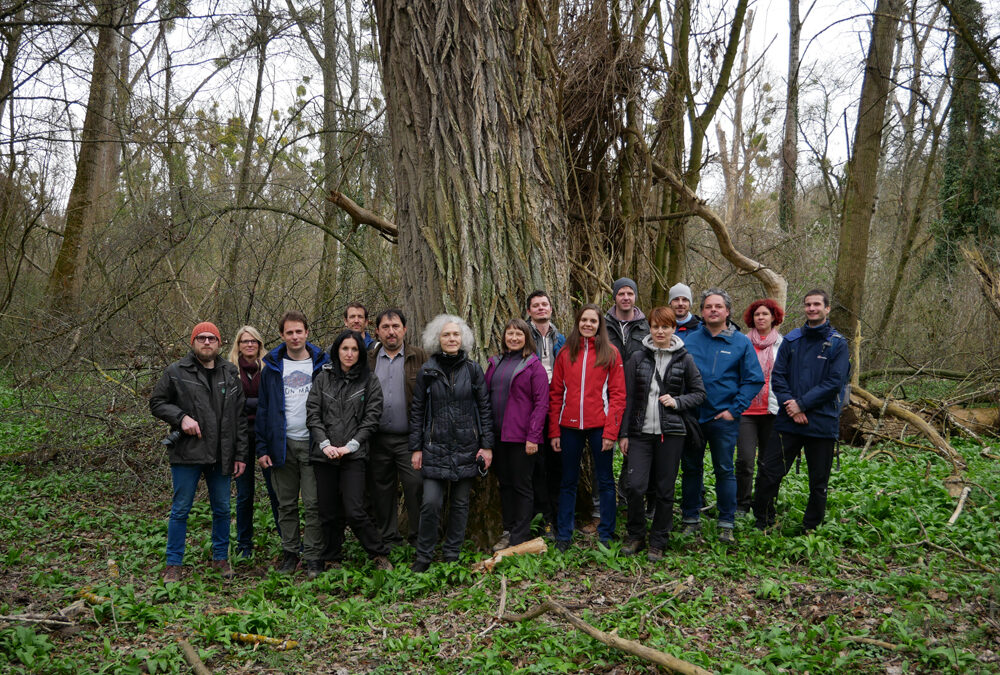 coop MDD – Study visits as support for a better Local Action Plan in Slovenia