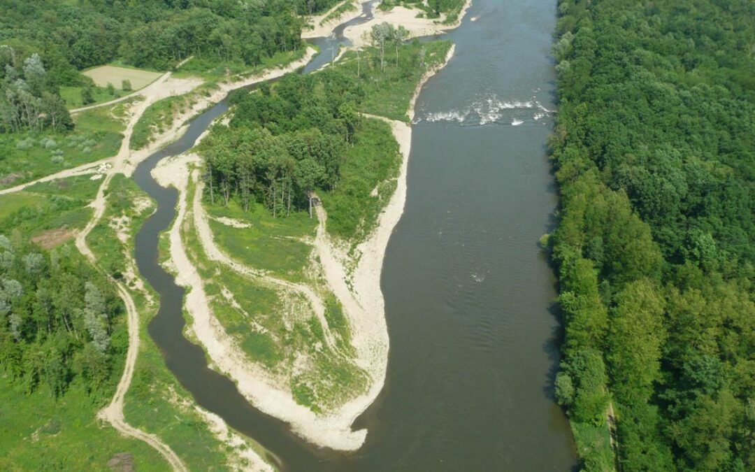 Lower Mura Valley (“Unteres Murtal”) becomes the gateway to the “Amazon of Europe”