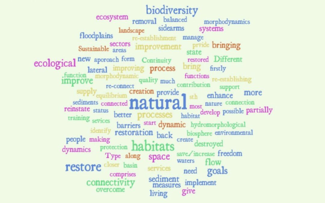 lifelineMDD – Working together for protection and restoration of ecological connectivity in the TBR MDD