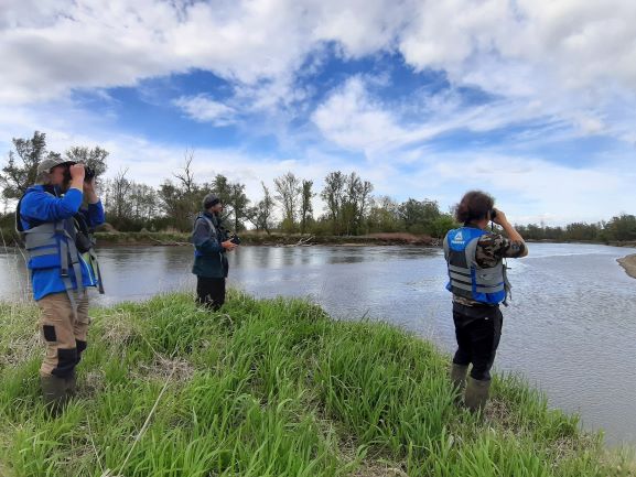 A bird census was conducted at Mura river