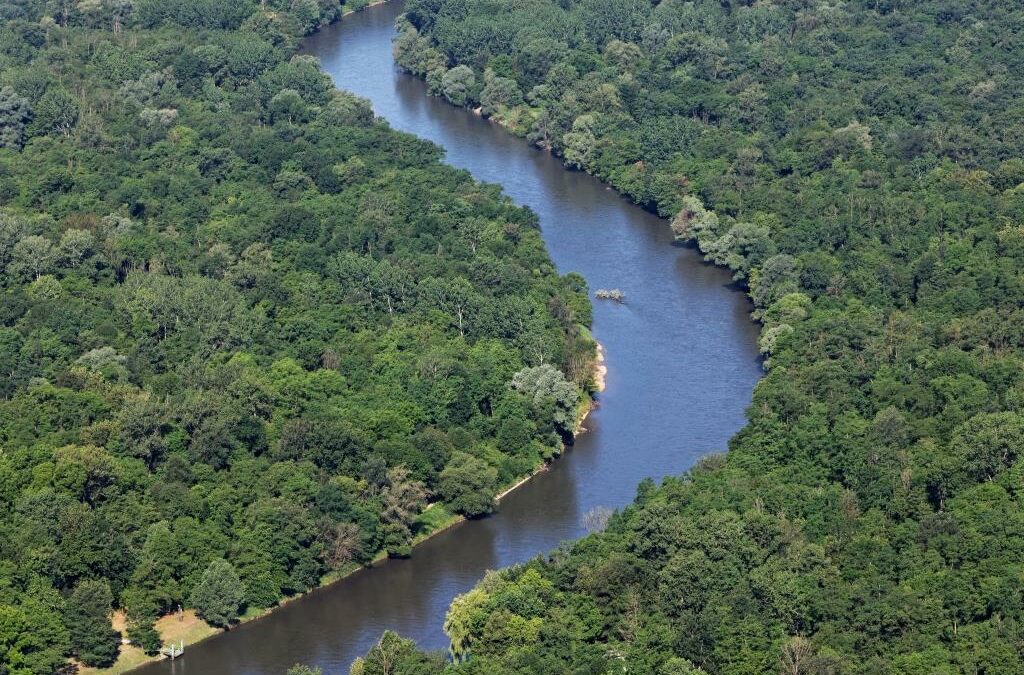 Professor Bernd Lötsch’s plea for the Mura River