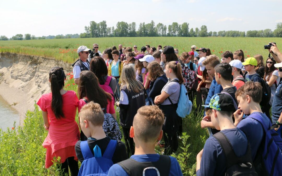 School children visit sand martin habitat